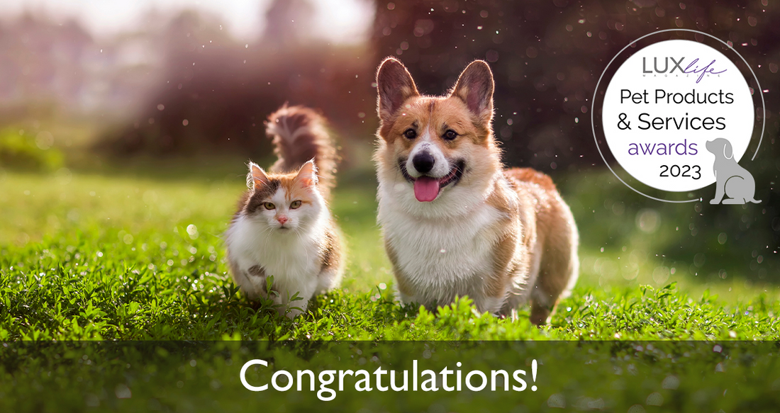 2023 Lux Life Global Excellence Award - Best Pet Products & Service Provider 2023 - New Orleans