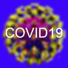 Petcetera’s Update on Covid-19