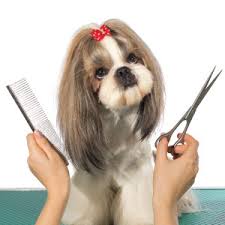 A message from Petcetera and our Grooming Staff