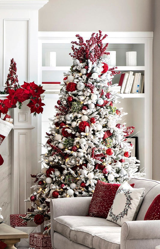 Risky Holiday Plants for Pets