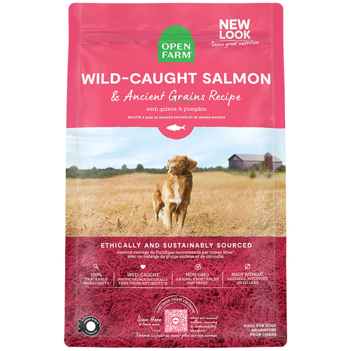 Open Farm Wild-Caught Salmon & Ancient Grains Recipe w/ Quinoa & Pumpkin Dry Dog Food Supreme Pet Supplies (Open Farm)