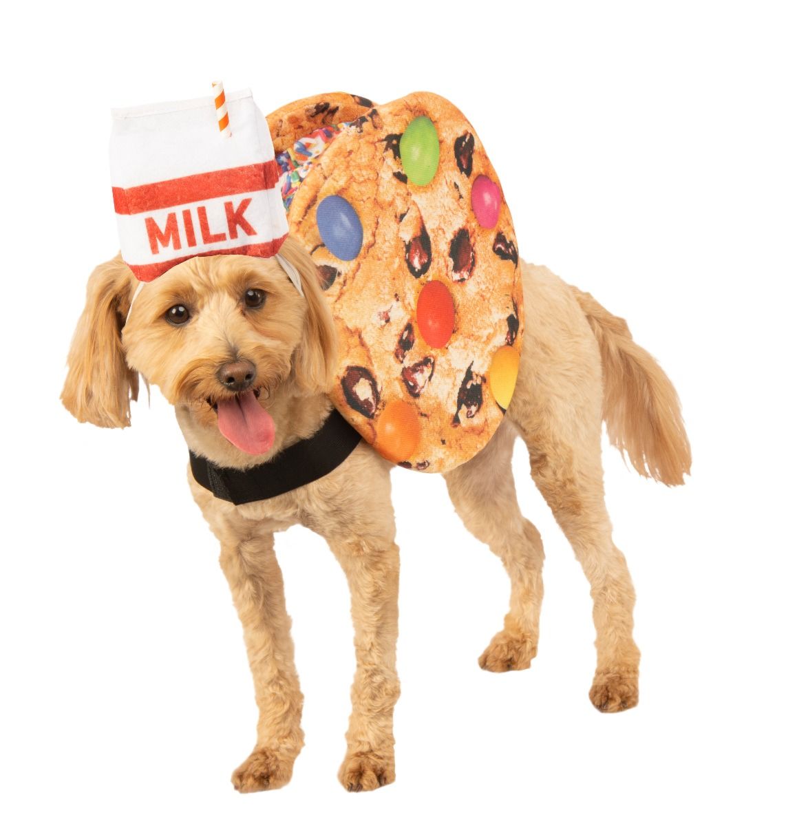 Cookies and Milk Pet Costume.