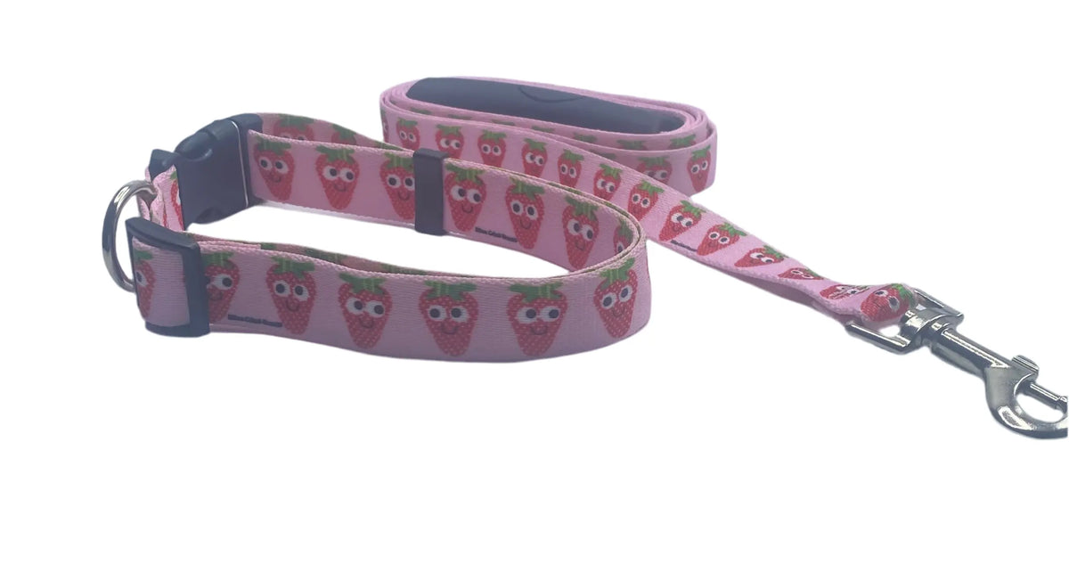 Sweet Strawberries Dog Collar & Leads Yellow Dog Design