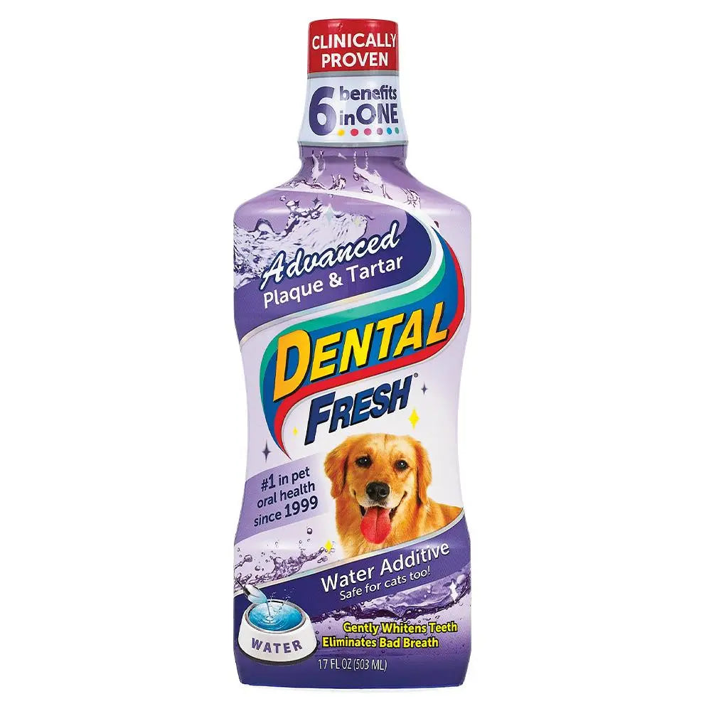 Synergy Labs Dental Fresh Advanced Plaque & Tartar 17 oz