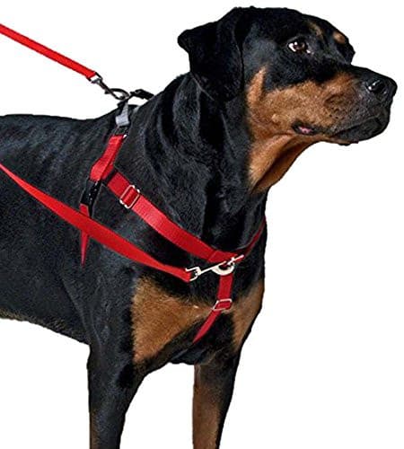 Freedom No Pull Dog Harness Yellow