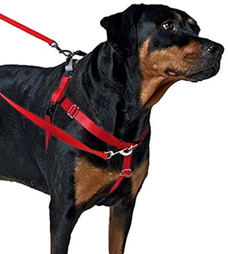 No Pull Harness Harness Leash For Large Dogs Freedom No-Pull Dog