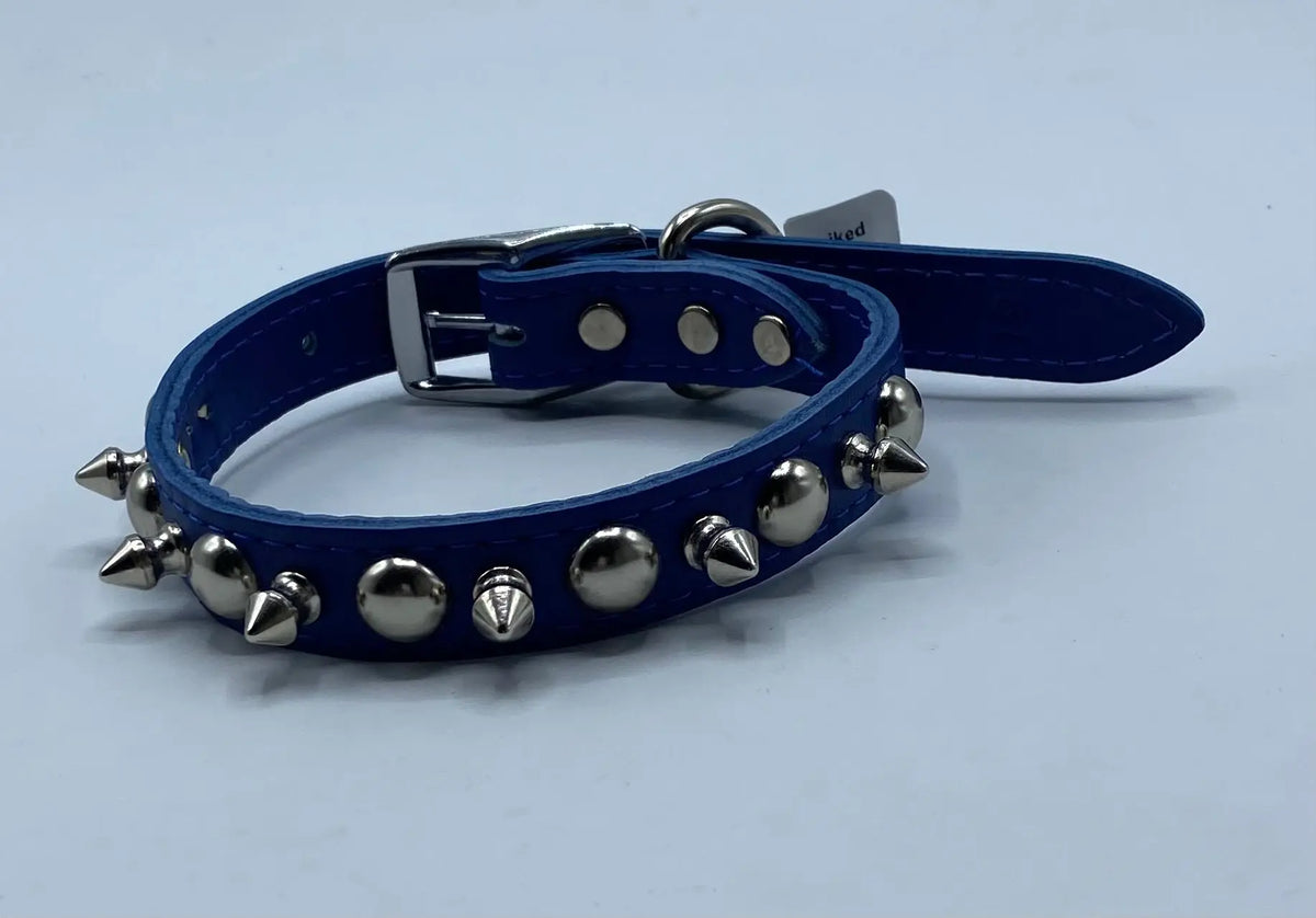Blue Spiked Dog Collar.