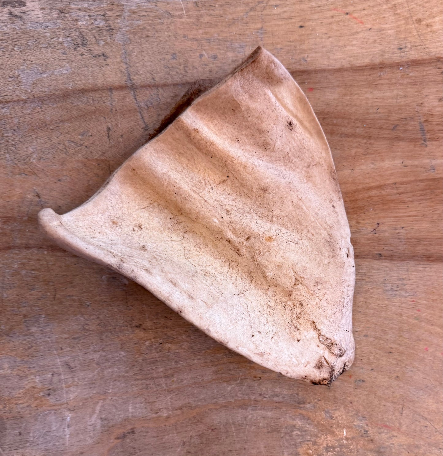Cow Ear Dog Treat (Hickory Smoked)