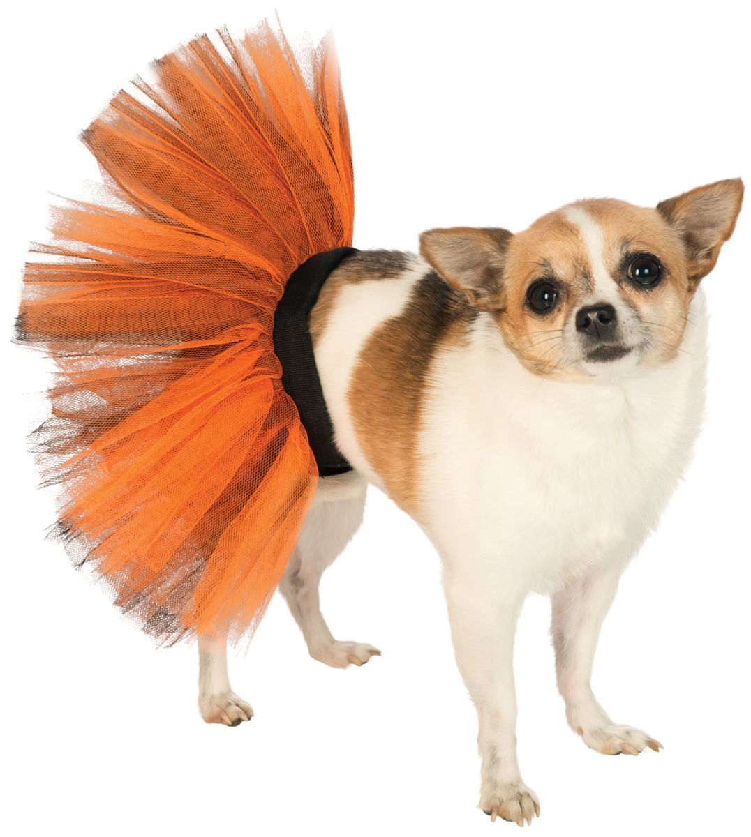 Pet Orange/Black Tutu.