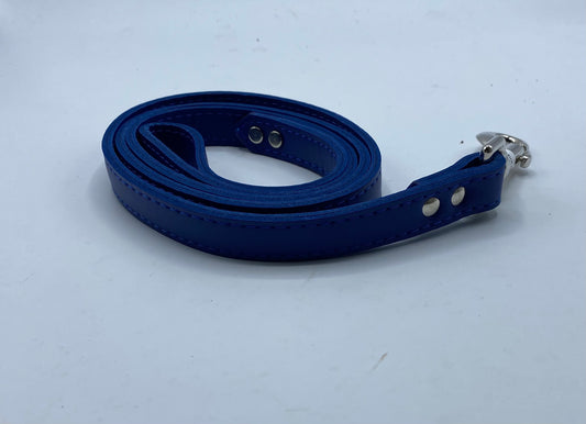 Blue Leather Lead 3/4" x 4'