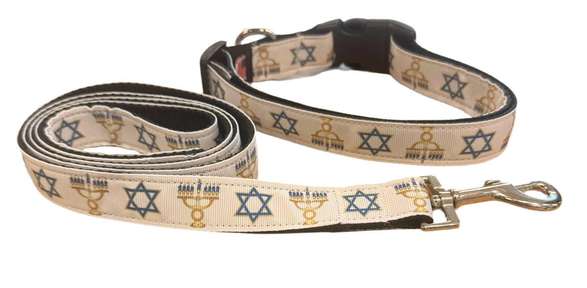 Hanukkah Pet Dog & Cat Nylon Collar or Leash, "Jewish Traditions" Mirage Pet Products
