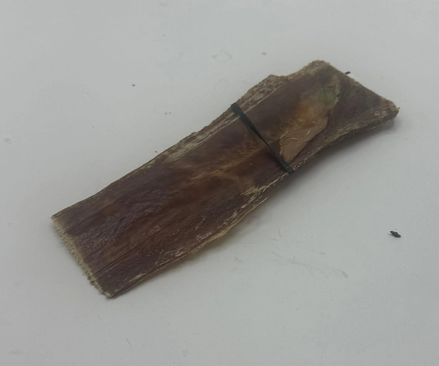 6" Flat Beef Gullet great lakes