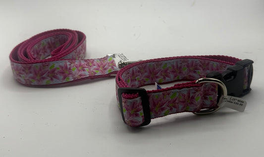 Lilly Collars & Leads.