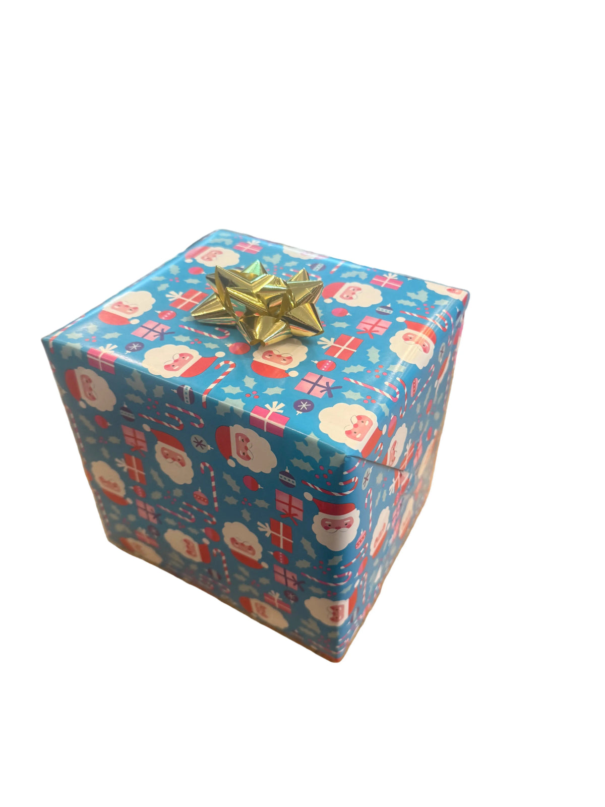 Large Dog - Christmas Gift Box for your Pup Petcetera NOLA