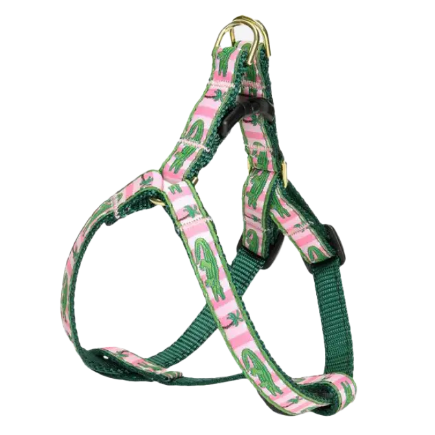 Alligator Dog Leads & Collars.