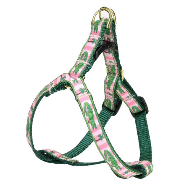 Alligator Dog Leads & Collars.