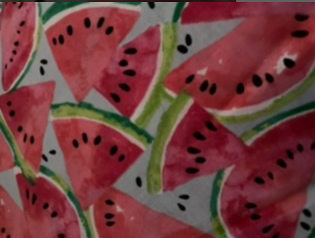 Watermelon Yum Pet Bandana