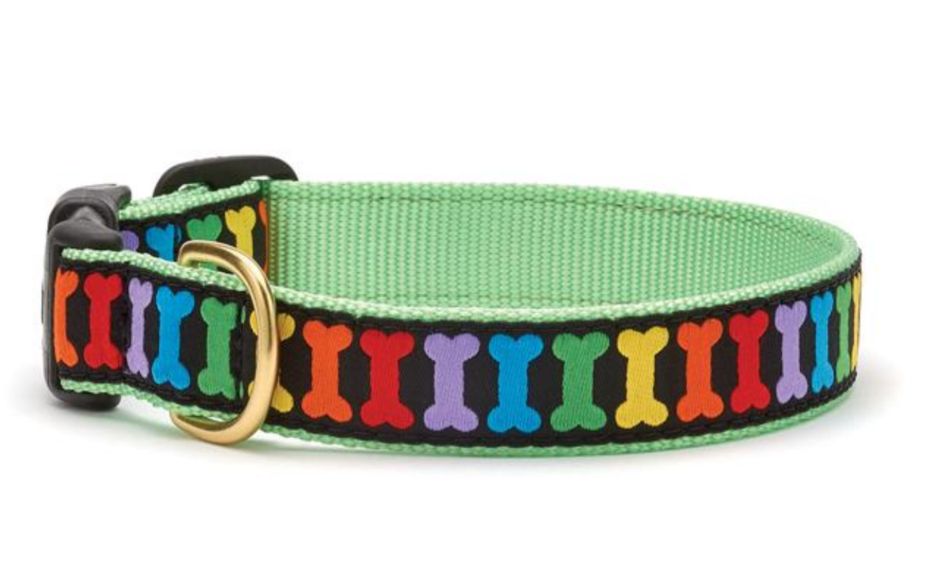 Rainbow Bones Leads & Collars