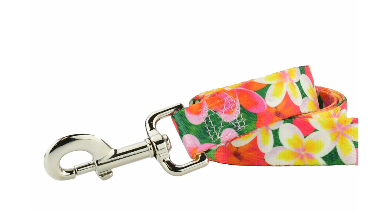 Aloha Dog Collars & Leash (1" wide).