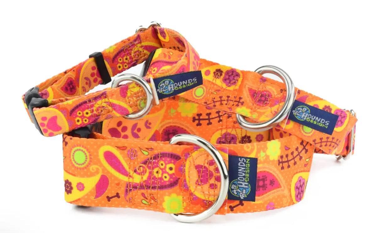 Orange Paisley Dog Collars & Leash (1" Wide).