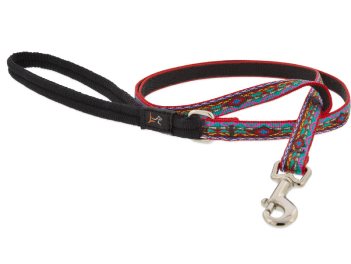 El Paso Dog Collars & Leads.