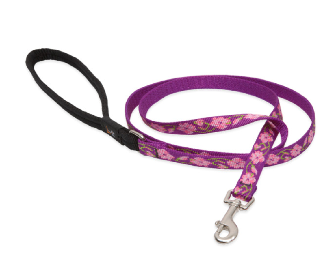 Rose Garden Dog Collars & Leads