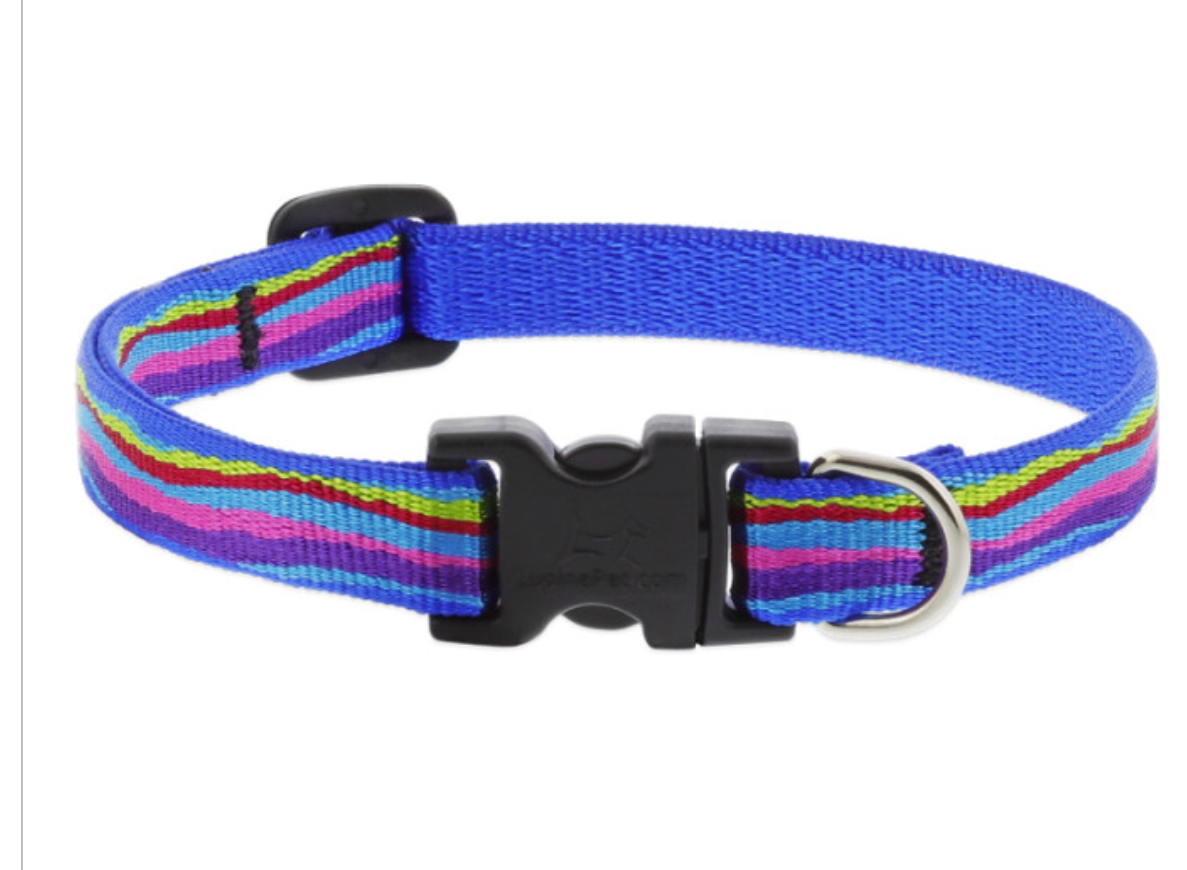 Nola shop dog collars
