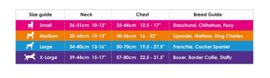 Lady (Neon) Dog Collars, & Leads.