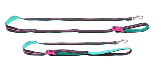 Rin Tin Tin (Neon) Dog Collars, Leads & Harness.