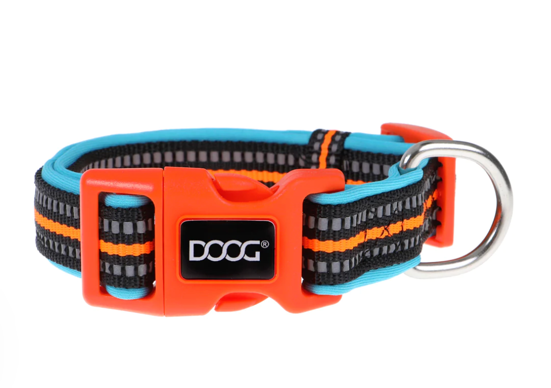 Neon best sale dog collar