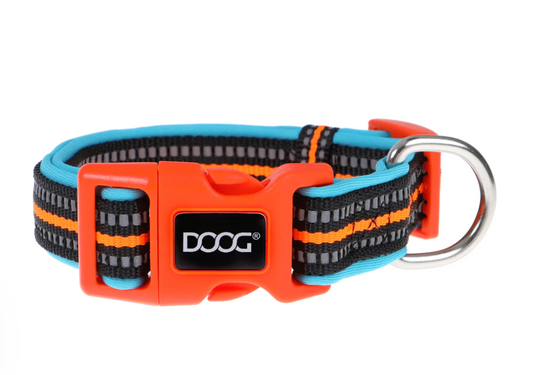 Beethoven (Neon) Dog Collars, Leads & Harness