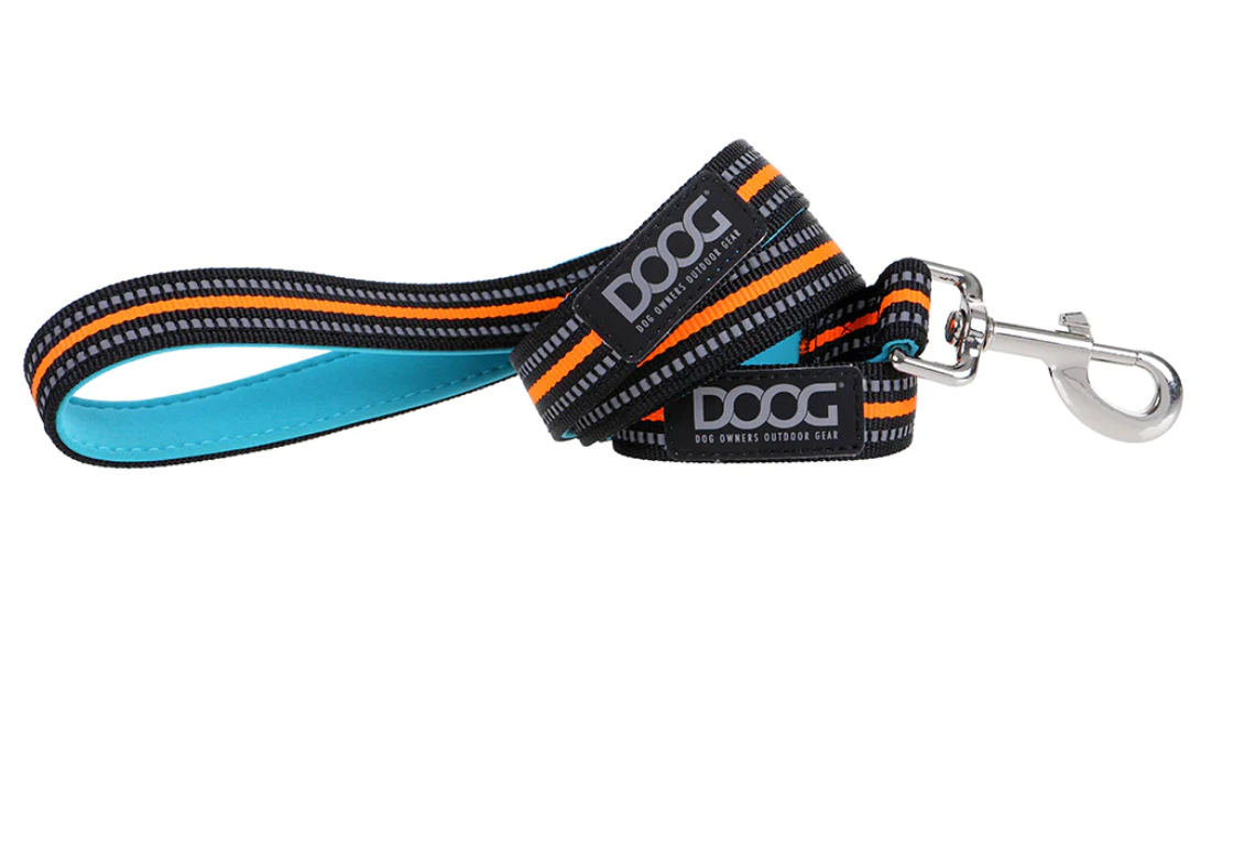 Beethoven (Neon) Dog Collars, Leads & Harness.