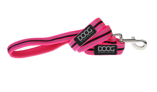 Lady (Neon) Dog Collars, & Leads.