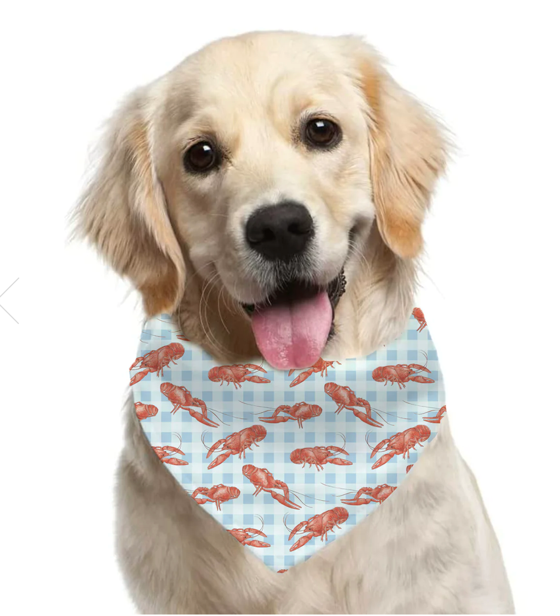 Crawfish Pet Bandana.