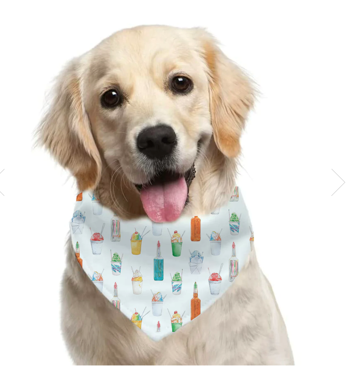 Snoball Pet Bandana.