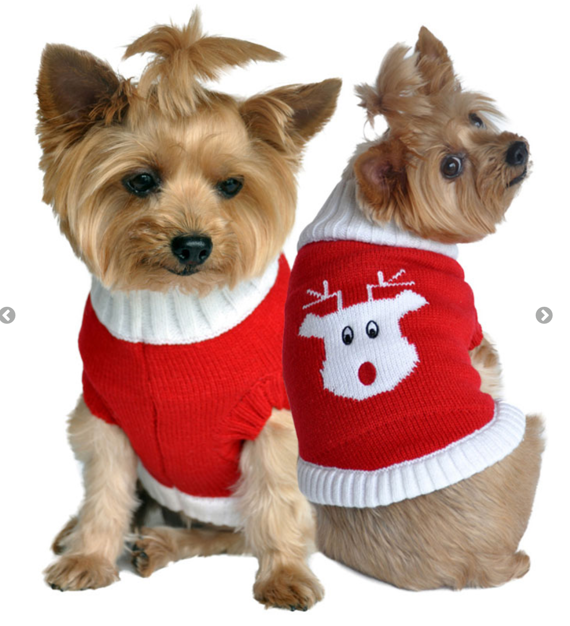 Red Rudolph Holiday Dog Sweater