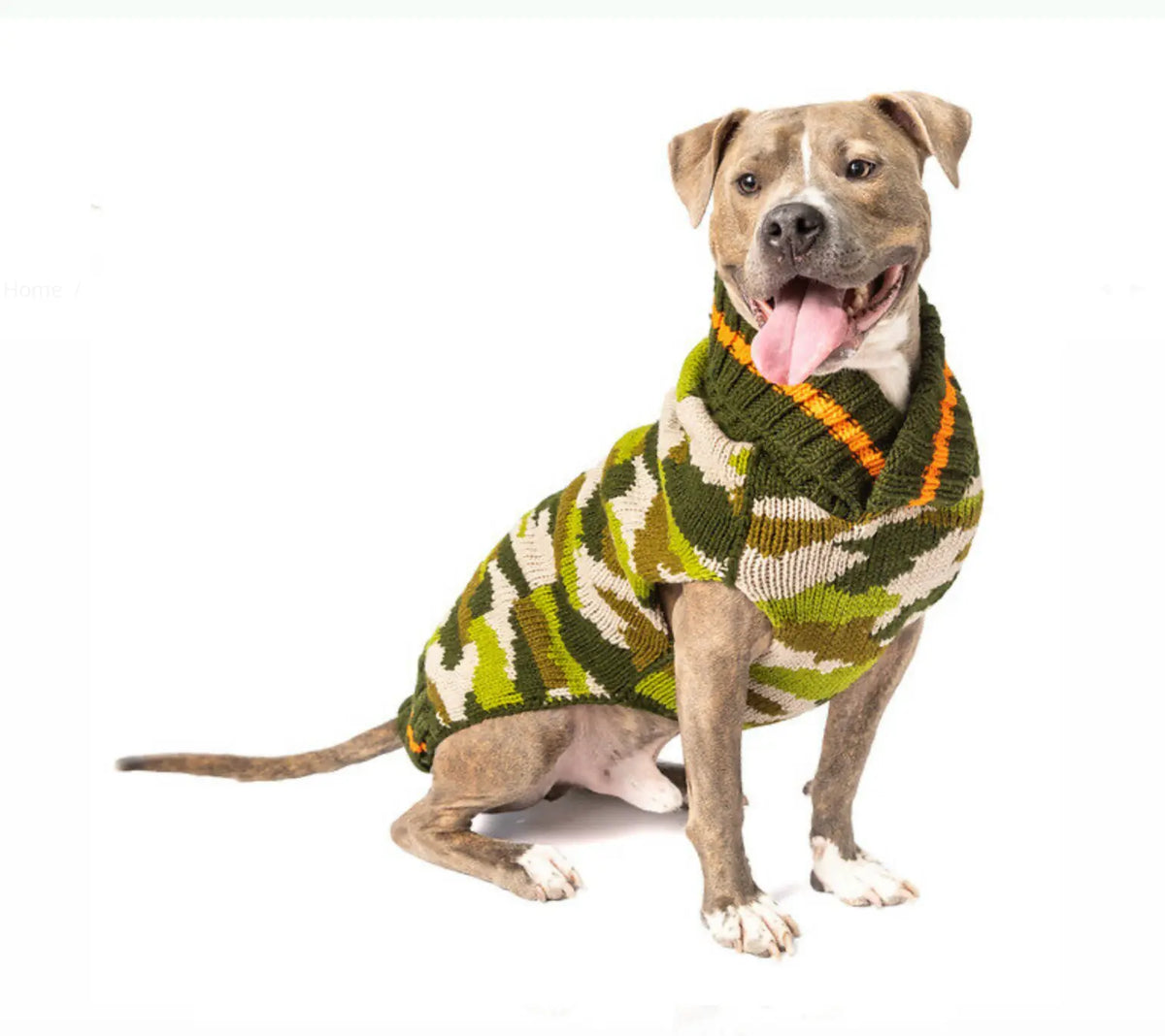 Camo Dog Sweater.
