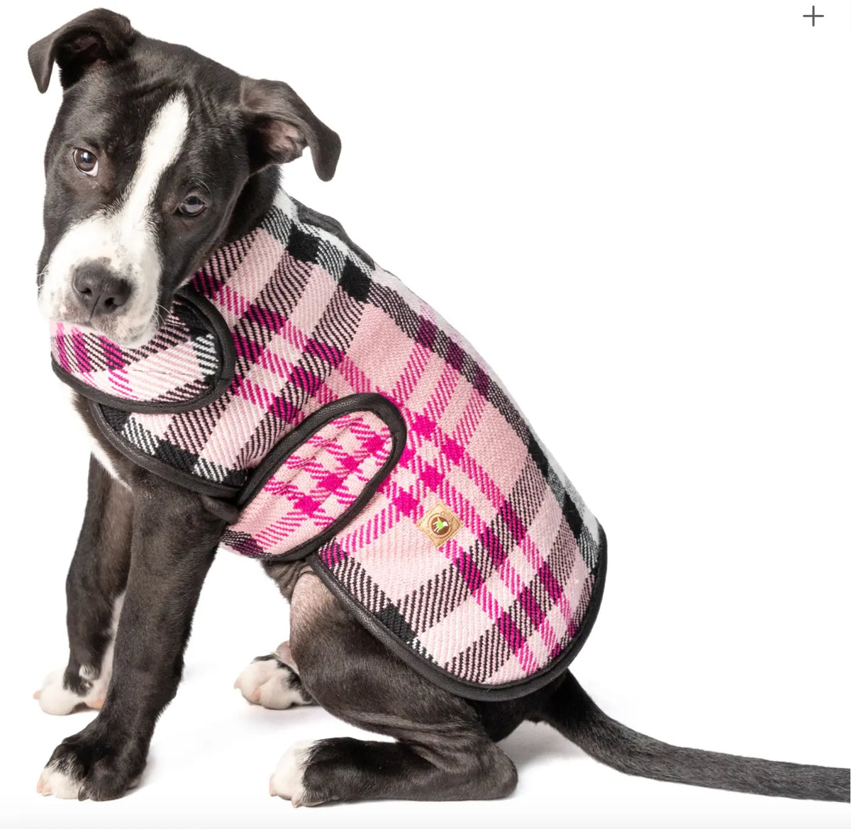 Pink Plaid Blanket Dog Coat.