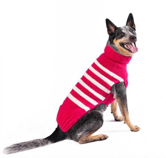 Katie Alpaca Stripe Dog Sweater
