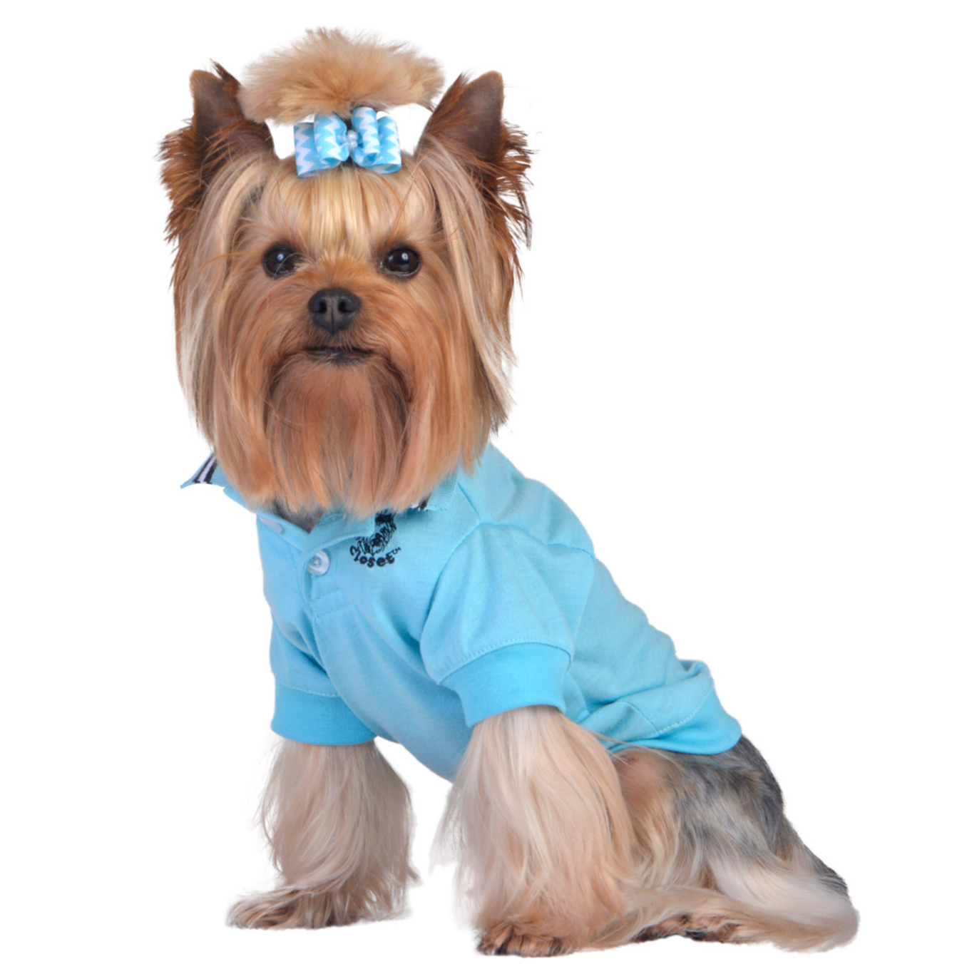 Turquoise Polo Shirt