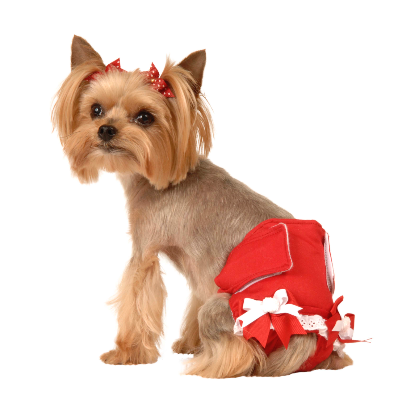 Red Girl Fancy Pet Pants.