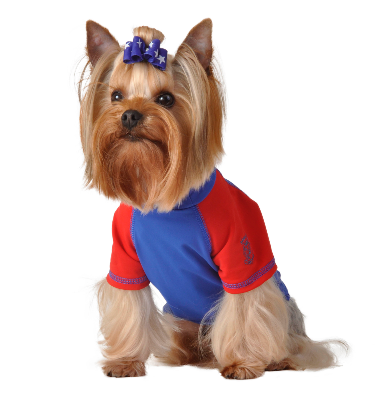 Royal Rash Guard