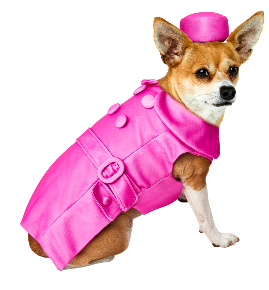 Bruiser Woods Pet Costume.