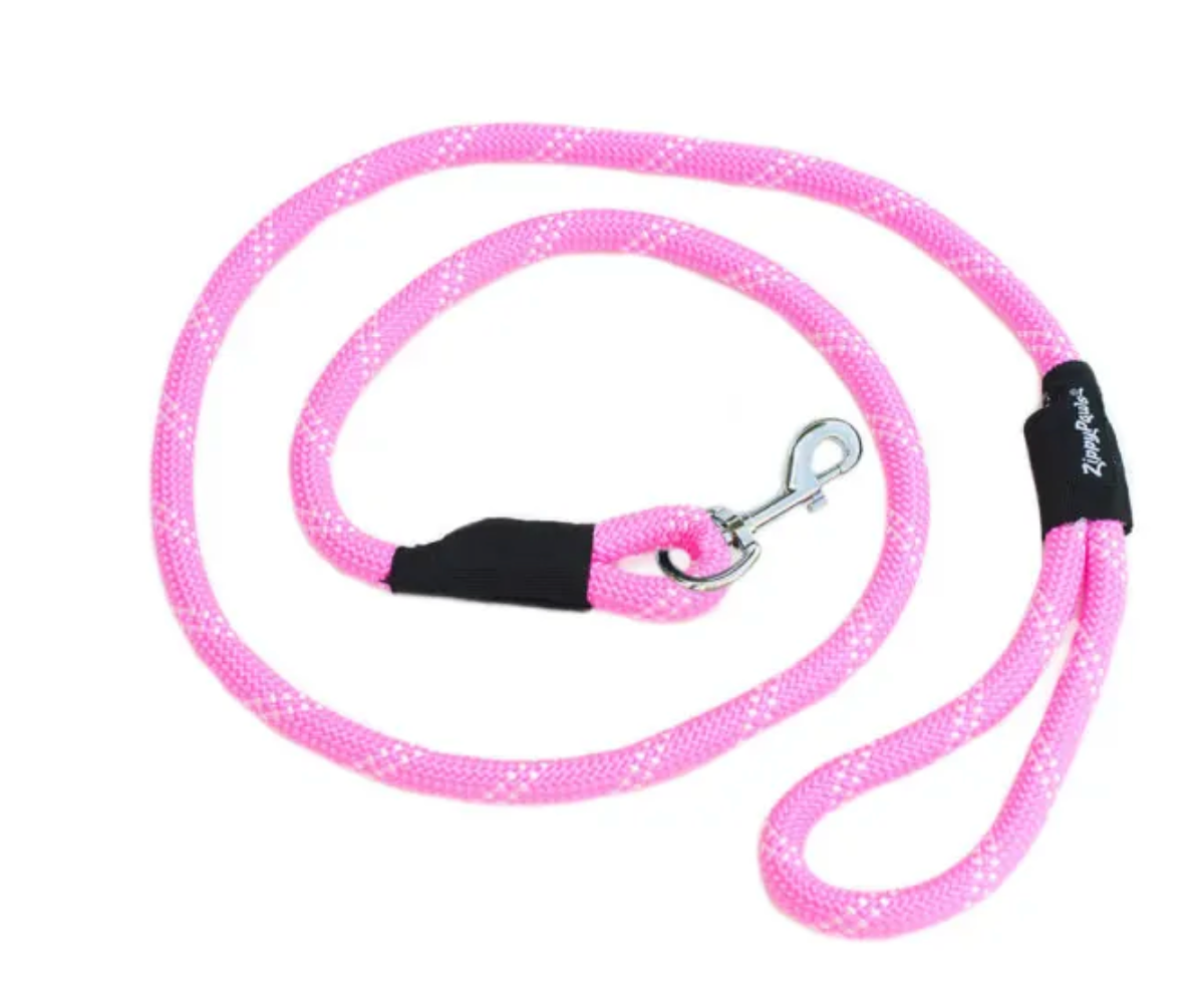 Adventure Climbers Dog Leash (pink).