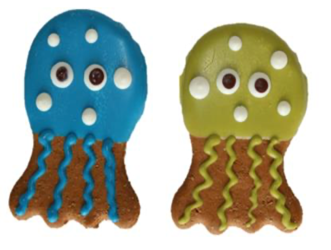 Jellyfish Dog Treat.