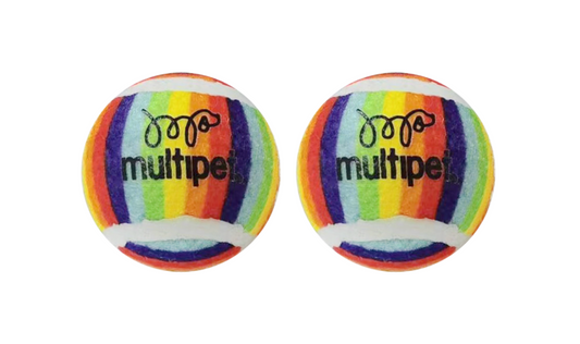 Rainbow Tennis Ball Dog Toy.