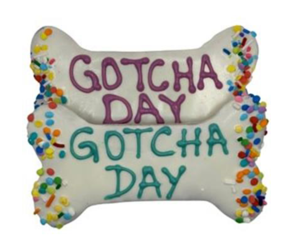 Iced Gotcha Bone Dog Treat