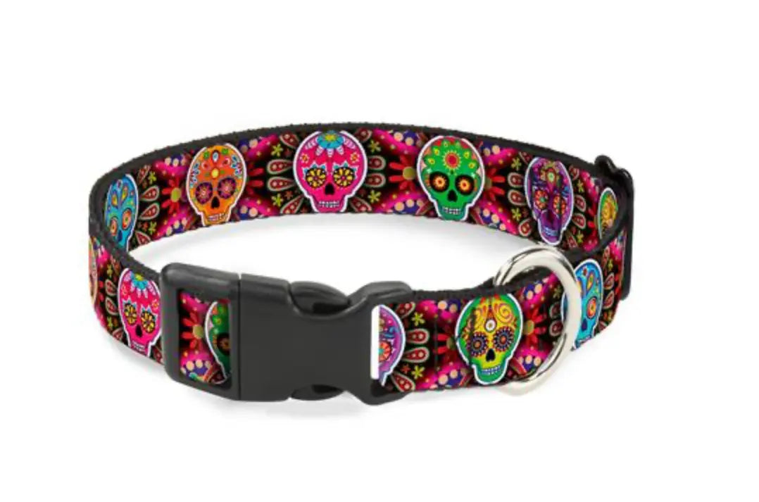 Six Sugar Skulls Multi Color Buckle Down