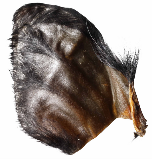 Water Buffalo Hearz, Ears with Hair!