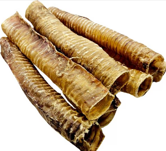 6" Beef Trachea